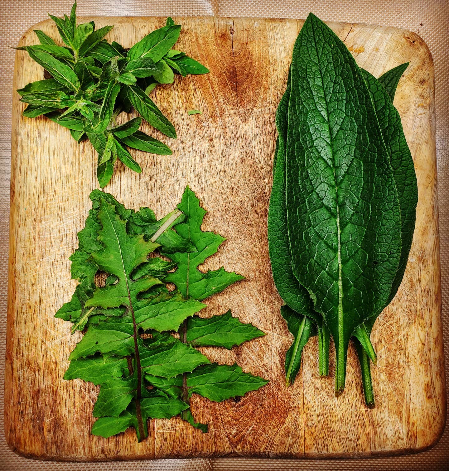 Mint, comfrey, and wild lettuce botanicals